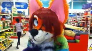 Fursuiting In PetSmart [upl. by Asalocin]