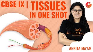 Tissues in OneShot  CBSE Class 9 Biology  Science Chapter 6  Tissues Crash Course NCERT Vedantu [upl. by Enyt]