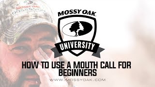 How to Use a Mouth Turkey Call for Beginners [upl. by Bondie]