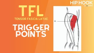 TFL Trigger Point Release  How to Release the Tensor Fascia Latae Muscle [upl. by Enida]