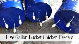 Making Five Gallon Bucket Chicken Feeders That Are RAT proof [upl. by Grieve486]