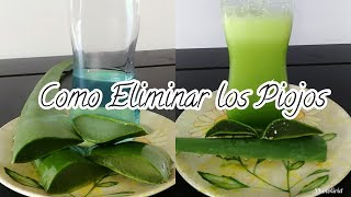 Como Eliminar los Piojos o Pediculosis en 2 Pasos  How to Get Rid of Lice in 2 Steps [upl. by Steere310]