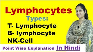 Lymphocytes in Hindi  Types of Lymphocytes  B cells  T cells  NK cells  Immune cell [upl. by Hsiekal]