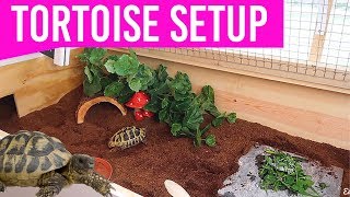 NEW Setting Up My Tortoise Enclosure  DIY Tortoise Table House [upl. by Sallyanne]