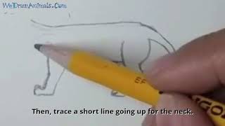 How to Draw a Panther In 9 EASY Steps  GREAT for Kids amp Beginners [upl. by Nalo]