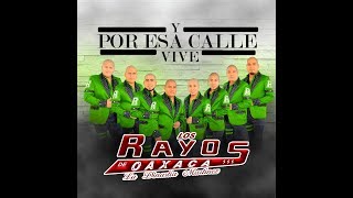 Y Por Esa Calle Vive  Los Rayos De Oaxaca Estreno 2018 [upl. by Granny531]