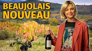 The Guide to BEAUJOLAIS NOUVEAU Wine [upl. by Eerac]