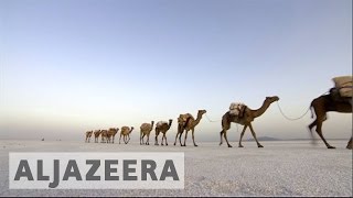 The Danakil Depression  Salt mining in one of the hottest places on earth [upl. by Birdt]