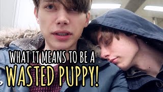 Wasted Puppy  Gay Couple VLOG [upl. by Royall]