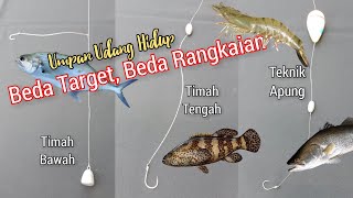 3 Rangkaian Umpan Udang Hidup Terbaik [upl. by Bardo]