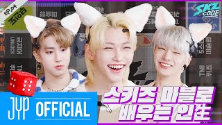 스키즈 마블로 배우는 인生 1｜SKZ CODE Ep04 [upl. by Innattirb]