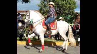 Hípica de Estelí 2015 [upl. by Blandina]