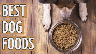 ⭐️ Best Dog Food TOP 10 Dog Foods 2019 REVIEWS ⭐️ [upl. by Deyas914]