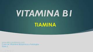 VITAMINA B1 Tiamina  Bioquímica y Patologías Tema 2 [upl. by Odrawde]