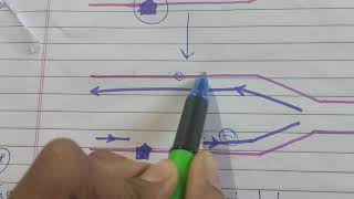 Repairing Damaged DNA by Recombination [upl. by Aynotak596]