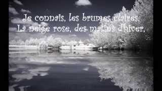 LOiseau  Vox Angeli from Belle amp Sébastien paroleslyrics [upl. by Hachmann743]