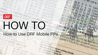 How To  How to Use DRF Mobile PPs [upl. by Fitzger79]