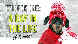 Episode One A Day in the Life of Crusoe [upl. by Sumaes]