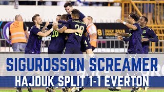 WONDER GOAL GYLFI SIGURDSSON 50YARD SCREAMER [upl. by Truda]