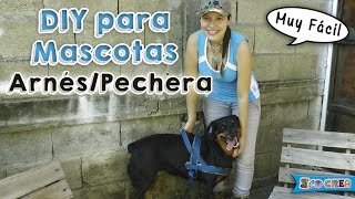 Cómo hacer un arnéspechera para tu perro │DIY [upl. by Eustache355]