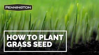 How to Plant Grass Seed  Pennington Grass Seed [upl. by Butler874]