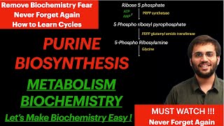 Purine Synthesis  Biochemistry  Purine Metabolism Video [upl. by Namsaj558]