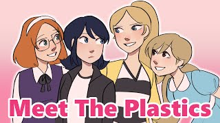 Meet The Plastics  Miraculous Ladybug Animatic [upl. by Eetnom]