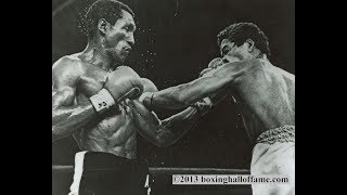 Wilfred Benitez vs Antonio Cervantes Highlights [upl. by Eizeerb821]