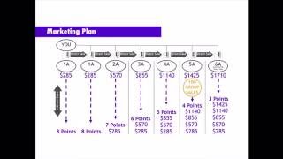 Enagic Kangen Water Compensation Plan Breakdown  5 MINUTES [upl. by Alyson]