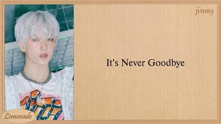 NCT DREAM Never Goodbye Easy Lyrics [upl. by Yelsgnik947]