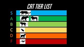 The Cat Tier List [upl. by Kiri]