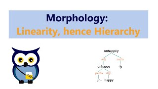 Morphology Linearity hence Hierarchy [upl. by Shipman430]