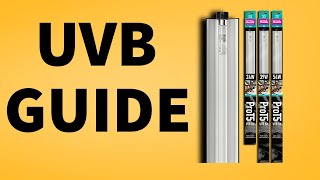 Guide to UVB Lighting What Bulb Do You Choose [upl. by Becht]