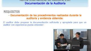 NIA 230 Documentación de auditoría [upl. by Eibo]