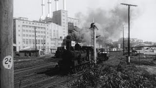 Steam on the Harbour Darling Harbours working trains [upl. by Heidt835]