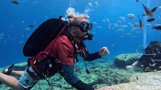 Cyprus Scuba Diving  Protaras  Green Bay  14 October 2022 [upl. by Nallac]