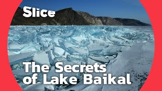 Lake Baikal A biological treasure trove  SLICE [upl. by Aketahs]