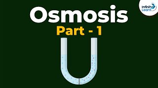 What is Osmosis  Part 1  Cell  Infinity Learn [upl. by Lynette421]