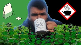 How To Make Stinging Nettle Tea For Beginners [upl. by Nicola912]