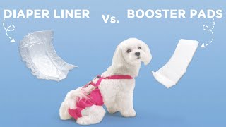 Diaper Liners vs Booster Pads Which is the Best Option for Your Dog [upl. by Anidualc618]