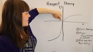 Prospect Theory An Overview [upl. by Arihaj359]