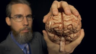 Massaging Your Brain with Professor Clemmons  ASMR [upl. by Aymik]