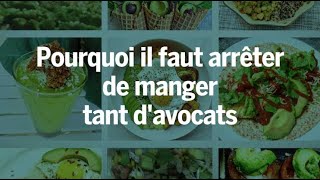 Pourquoi il faut arrêter de manger tant davocats [upl. by Primo]