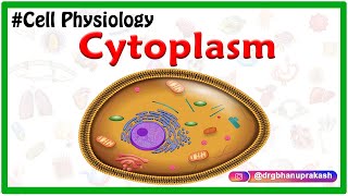 Cytoplasm  USMLE Cell Physiology Animations [upl. by Niletac]