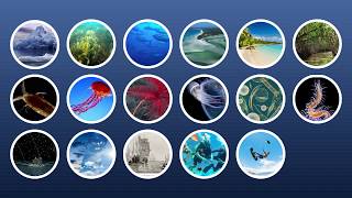 Marine Biology at Home 1 Introduction [upl. by Findlay]