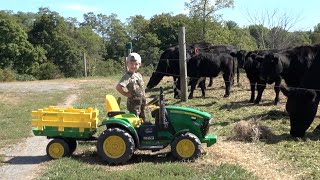 THE LITTLE FARMER [upl. by Anisah701]