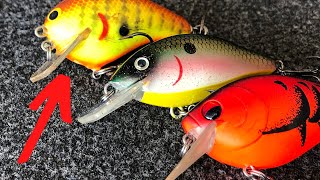 How To Fish SQUAREBILL Crankbaits Catch More BASS [upl. by Pellet99]