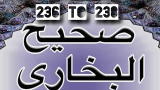 Sahih Bukhari Hadees 236 to 238 EXPLAINED  Noorehadees [upl. by January]