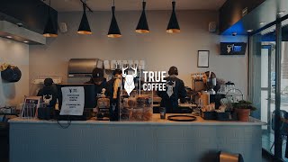 True Coffee Colon Cinematic  Lite visuals [upl. by Adalie]