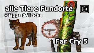 Far Cry 5 Fundorte Jagdorte aller tiere 16X Tipps amp Tricks für Anfänger  36 vorteilspunkte [upl. by Diogenes506]